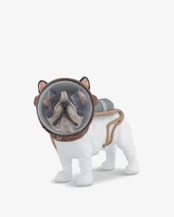 Astronaut hund
