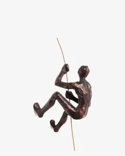 Bjergbestiger på wire