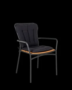 Cleveland hynde, sort