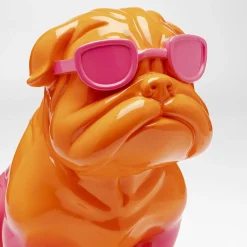 Fashion dog, orange