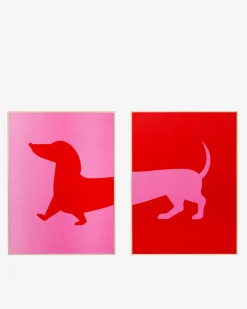 Frankie front and back, galleri