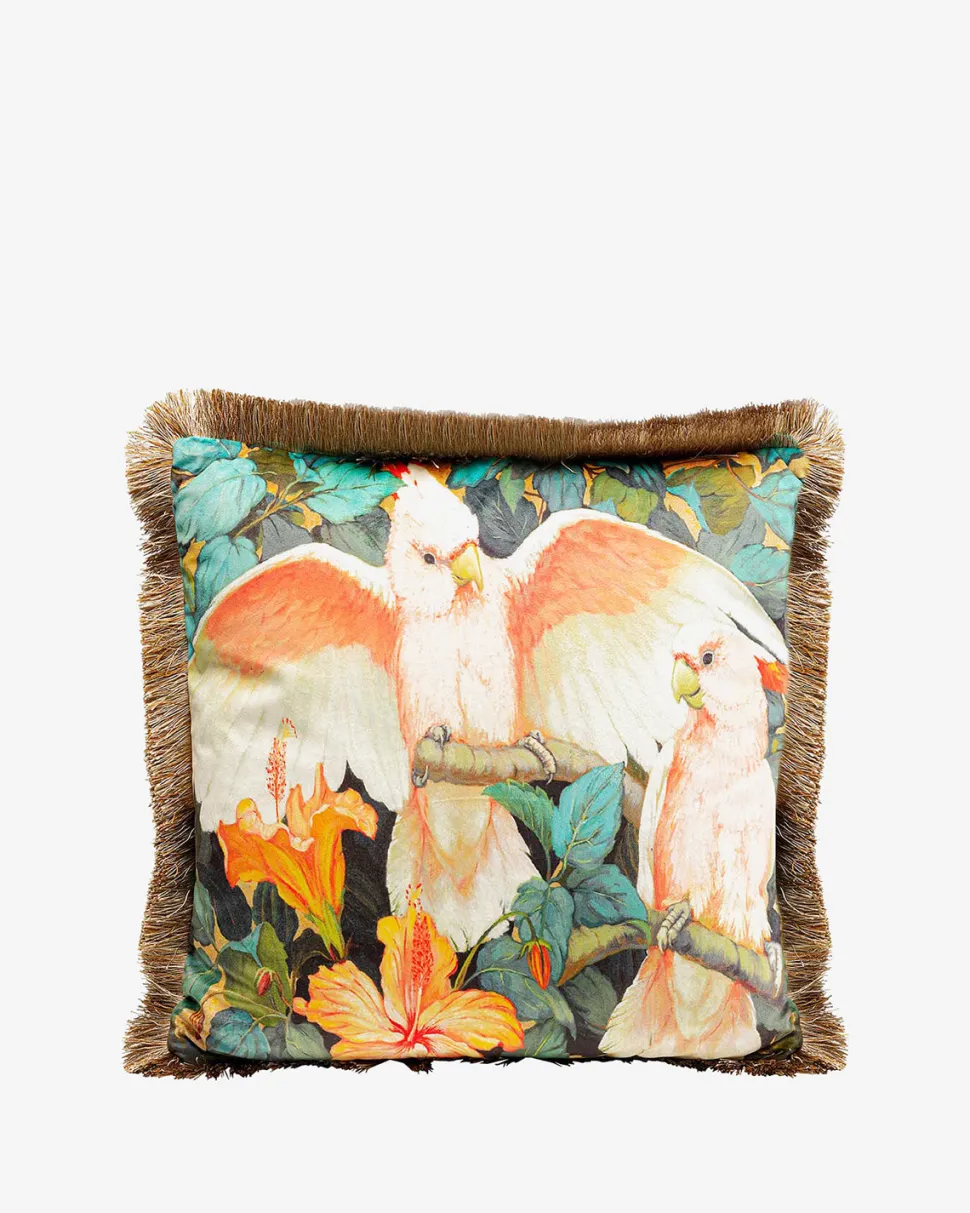 Parrots life pyntepude