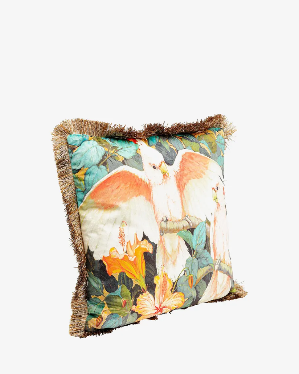 Parrots life pyntepude